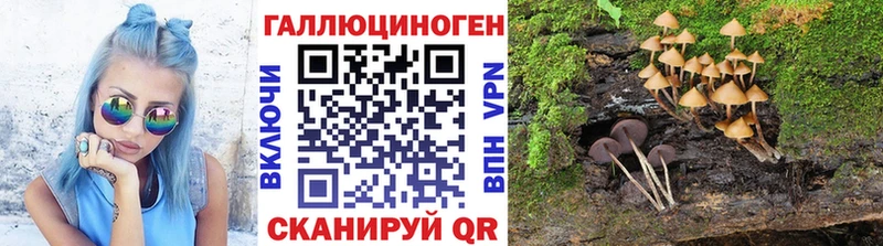Галлюциногенные грибы ЛСД  хочу   KRAKEN ONION  Бобров 